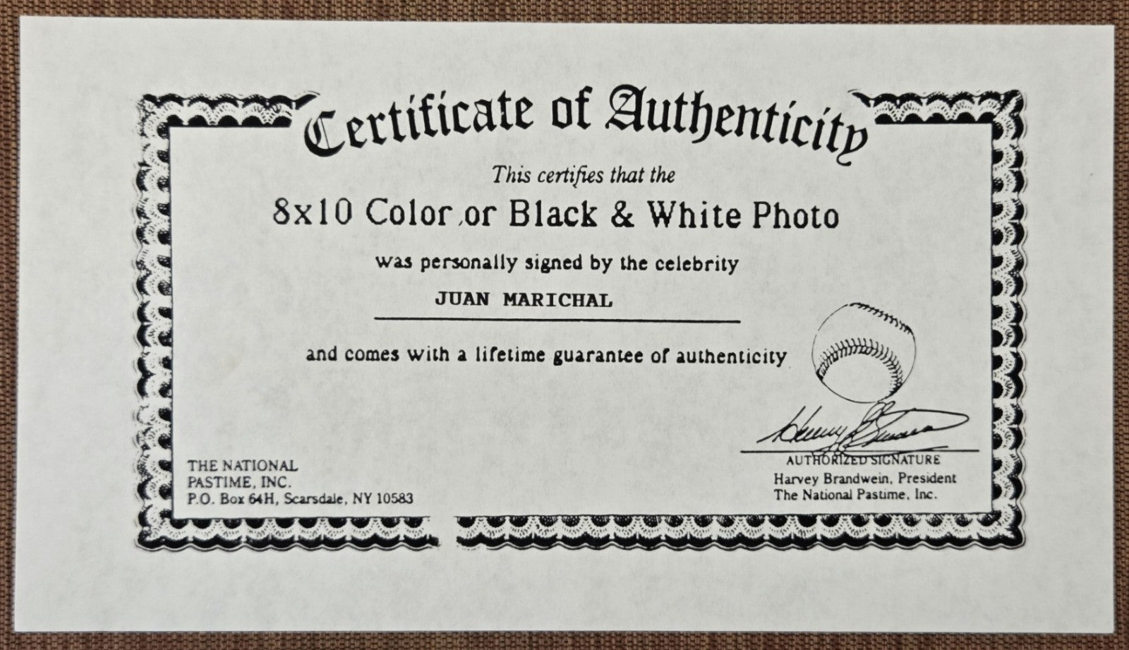 Juan Marichal AUTO San Francisco Giants Baseball Signed 8 x 10 Photo JSA HOF6